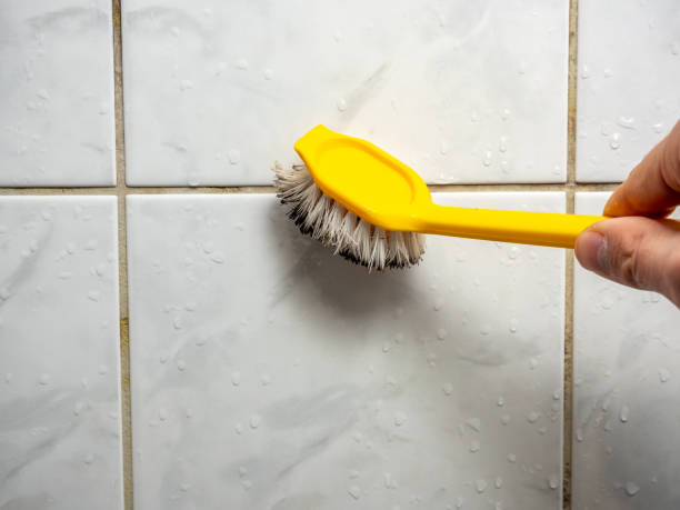Best Certified Mold Removal  in White Salmon, WA