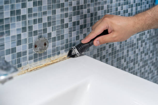Best Mold Remediation Services  in White Salmon, WA
