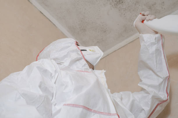 Best Office Mold Removal Services  in White Salmon, WA