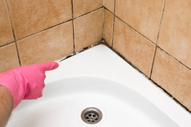 Best Emergency Mold Removal  in White Salmon, WA